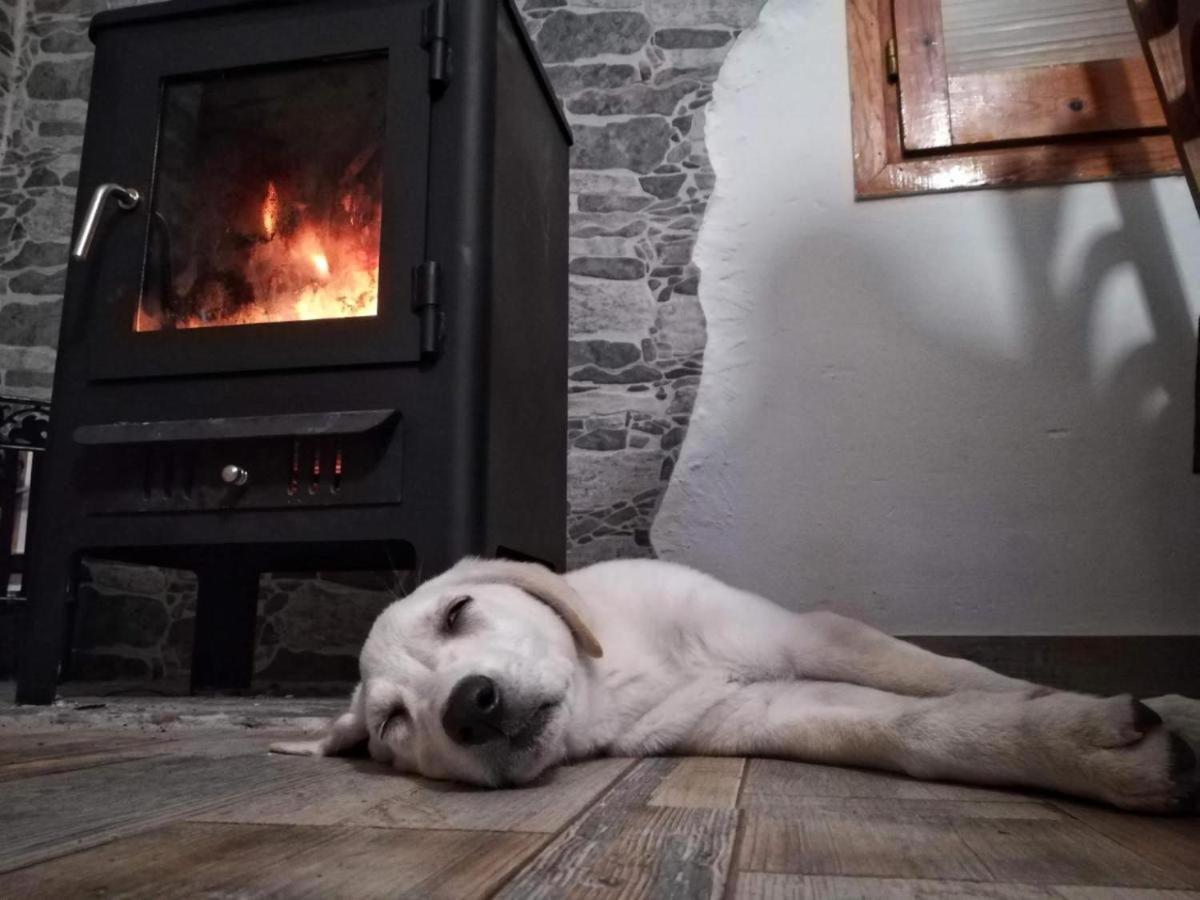 Hauzify I Ca La Nena Morena Villalba Saserra Exteriér fotografie