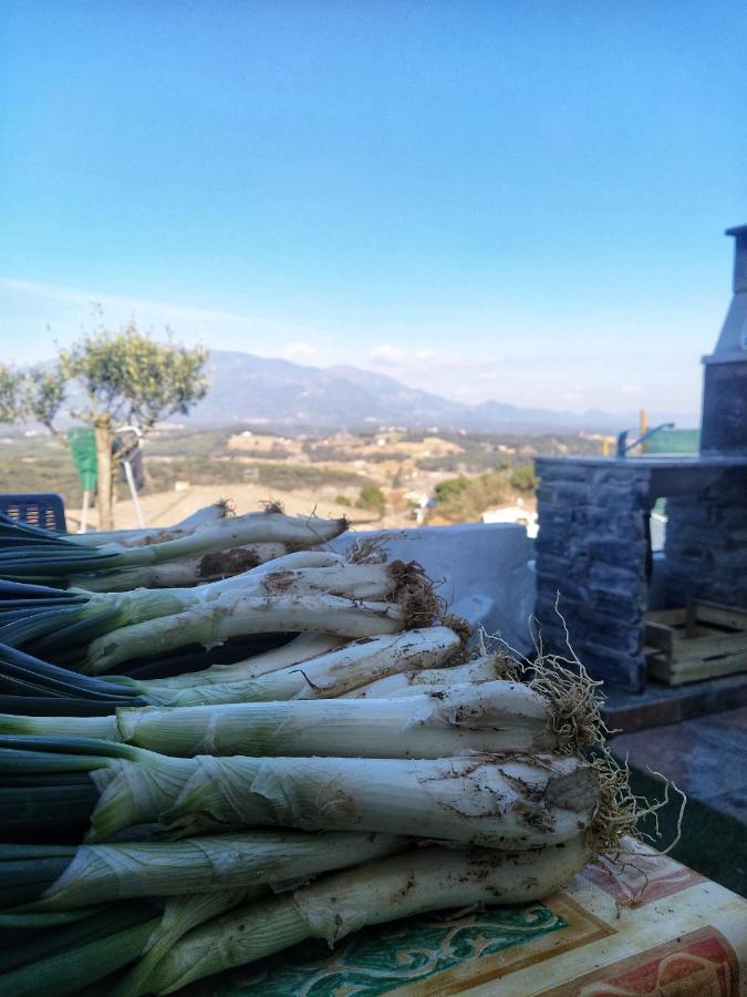 Hauzify I Ca La Nena Morena Villalba Saserra Exteriér fotografie