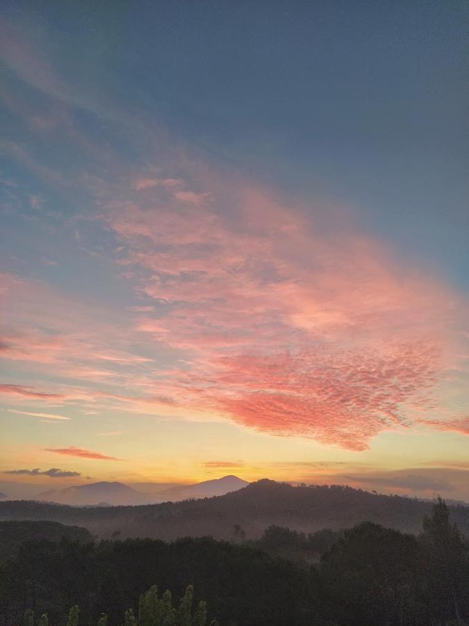Hauzify I Ca La Nena Morena Villalba Saserra Exteriér fotografie